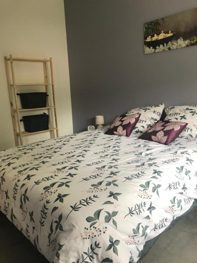 Appartement A Tarascon Sur Ariege Le Sabart Экстерьер фото